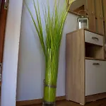 Belveder Hisa Lidija Apartment *