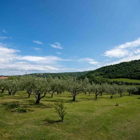 아파트 Apartment Belveder Hisa Lidija *