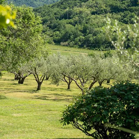 Apartment Belveder Hisa Lidija 아파트 이졸라