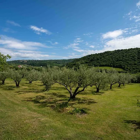 Apartment Belveder Hisa Lidija *