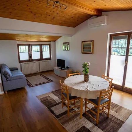 Apartment Belveder Hisa Lidija *