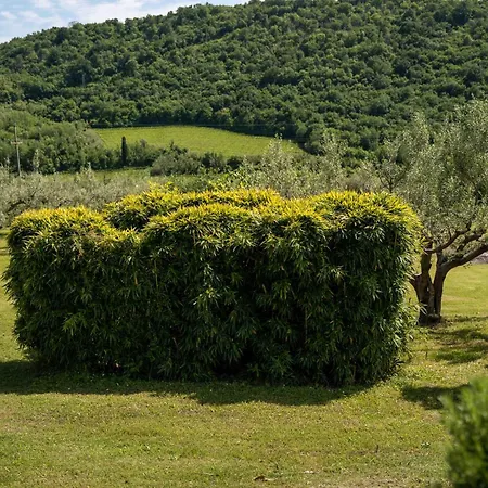 Lidija Apartmán