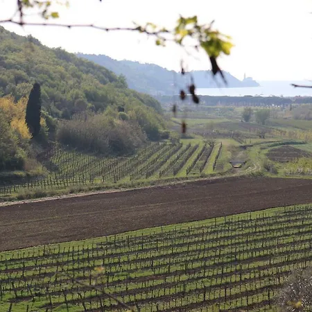 Apartment Belveder Hisa Lidija 이졸라