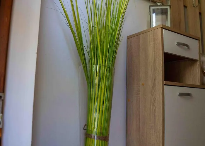 Belveder Hisa Lidija Appartement *