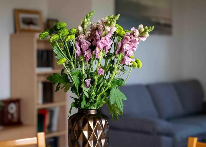 Belveder Hisa Lidija Апартаменты