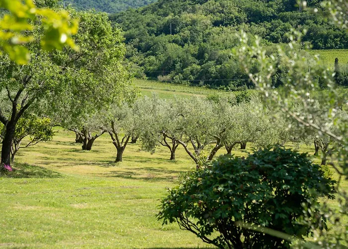 Belveder Hisa Lidija Апартаменты Изола