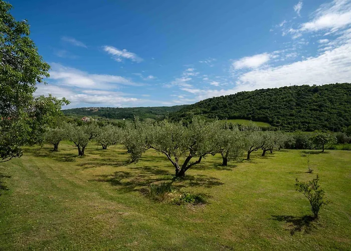 Belveder Hisa Lidija *