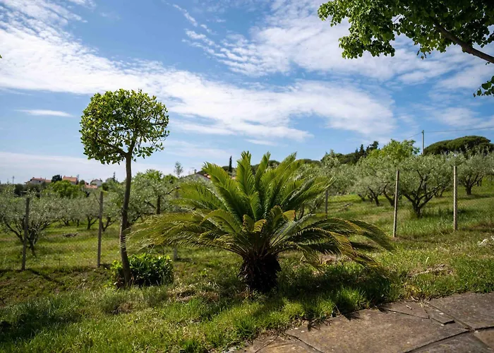 Belveder Hisa Lidija * Izola