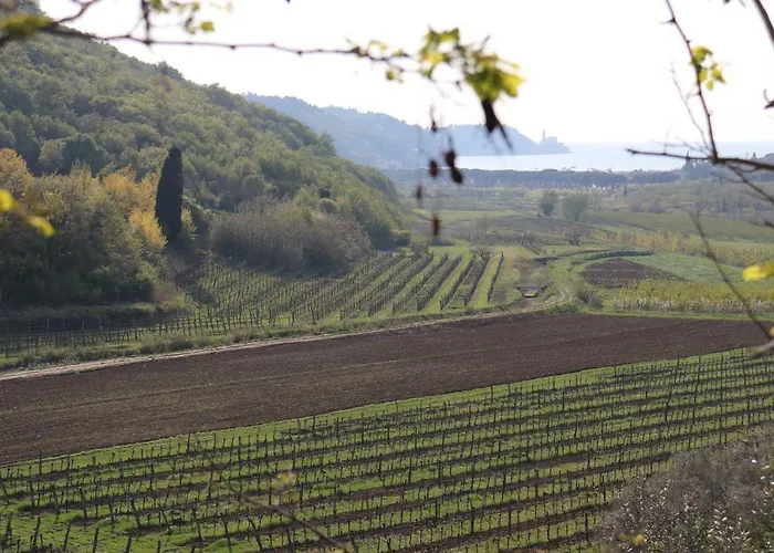 Belveder Hisa Lidija Izola